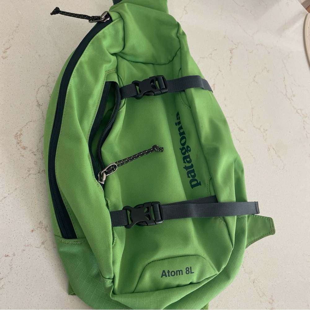 Patagonia Green Belt Bag Sporty Design
